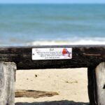 Whisper of Wings – Memorial Bench Plaque to Honor Cherished Companions - Image 6