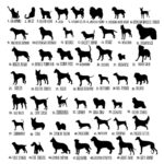 Carry Your Best Friend Close – Custom Dog Breed Bag Charm – A Loving Token for Dog Lovers - Image 9