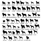 Carry Your Best Friend Close – Custom Dog Breed Bag Charm – A Loving Token for Dog Lovers - Image 10