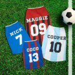 Cheer Together – Custom Name Jersey Tee for Your Beloved Pet – Celebrate Game Day and Every Special Moment - Image 2