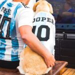 Cheer Together – Custom Name Jersey Tee for Your Beloved Pet – Celebrate Game Day and Every Special Moment - Image 3