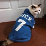 Cheer Together – Custom Name Jersey Tee for Your Beloved Pet – Celebrate Game Day and Every Special Moment - Image 4