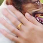 Carry Their Memory Close – Pet Collar Memorial Ring – For Cherishing Your Beloved Companion - Image 9