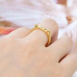 Embrace Feline Affection – Cat Ears and Paw Ring – For Those Who Cherish Their Beloved Cats - Image 9