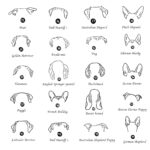 Carry Their Love Close – Custom Pet Ear Name Necklace – For Cherished Pet Lovers - Image 10