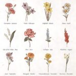 Carry Your Story in Bloom – Custom Birth Flower Passport Holder & Luggage Tag Set – For the Woman Who Travels with Heart - Image 10